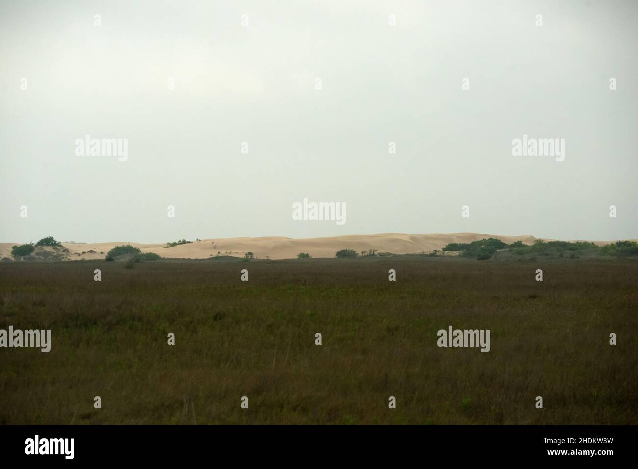 Bird watching at the King Ranch in Texas Stock Photo