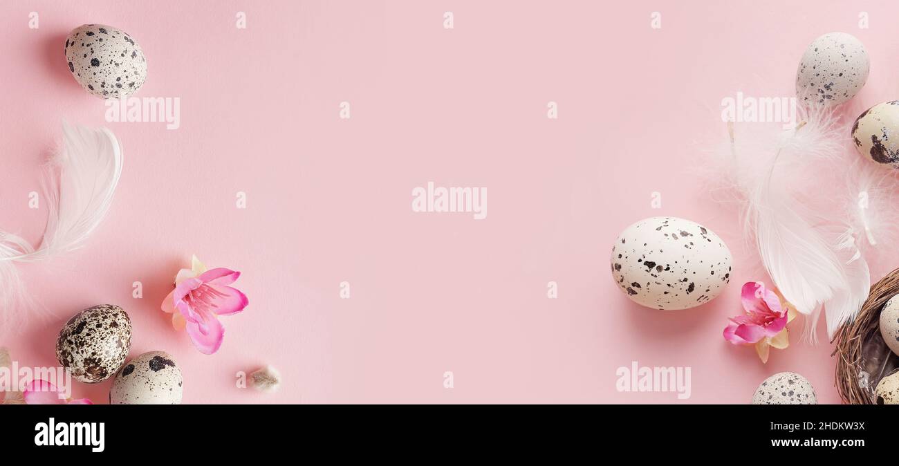 quail, bird feather, spring decoration, quails, bird feathers, spring decorations Stock Photo