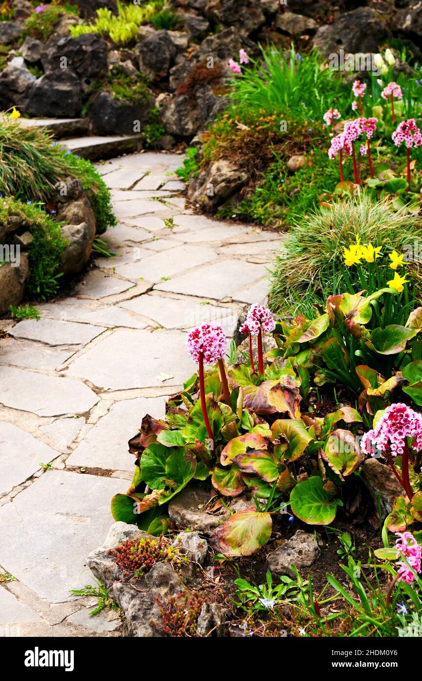 flower bed, garden path, flower beds, garden paths Stock Photo