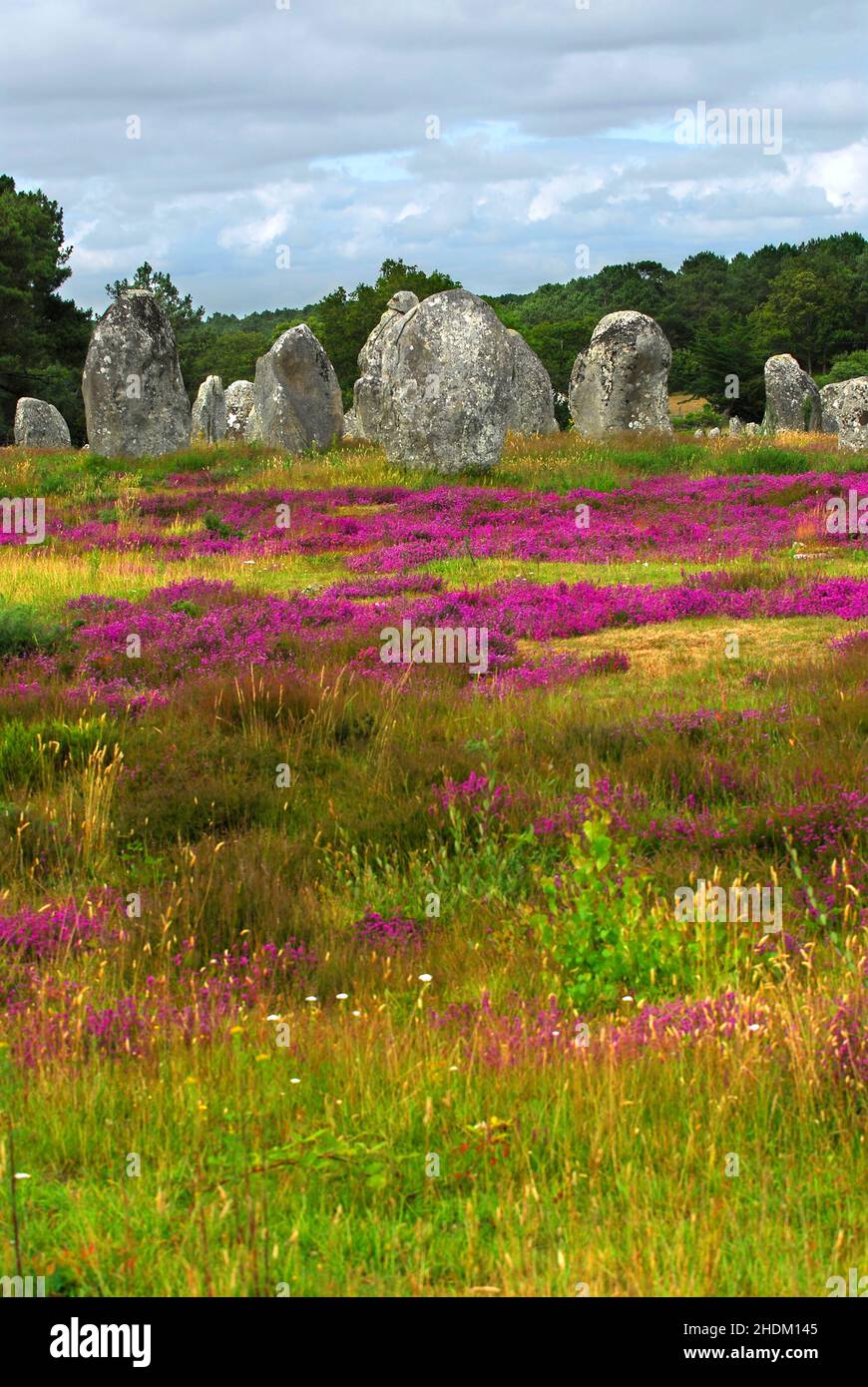 brittany, carnac, megalith series, place of worship, brittanies, carnacs, place of worships Stock Photo