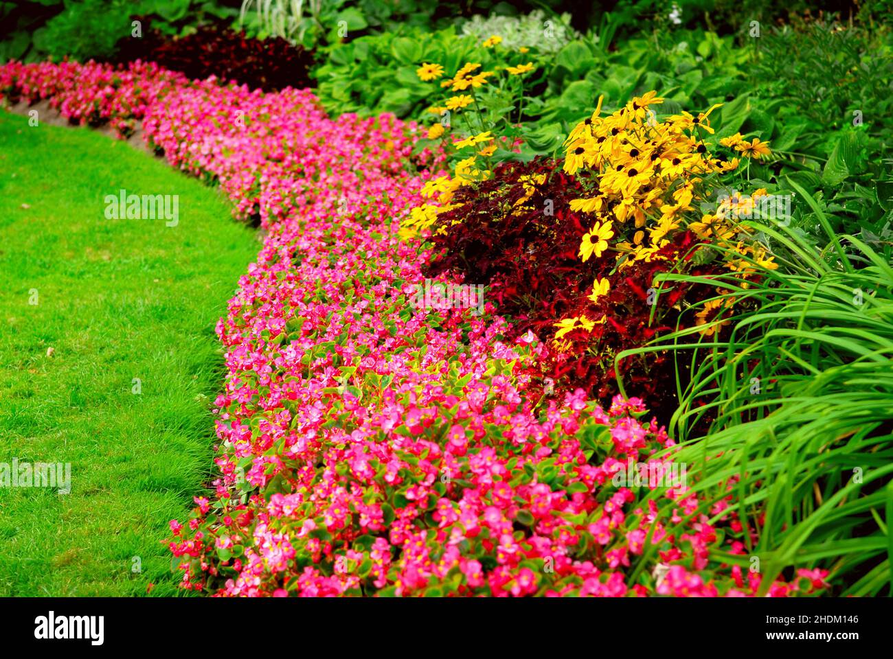 flower bed, flower beds Stock Photo