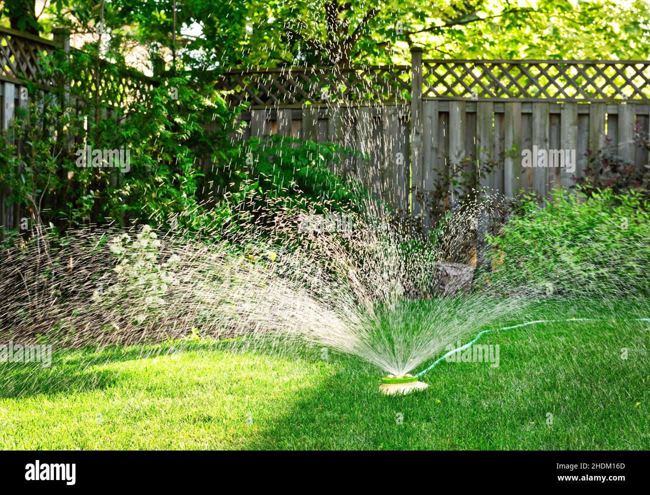watering, sprinkler, irrigation, sprinklers Stock Photo Alamy