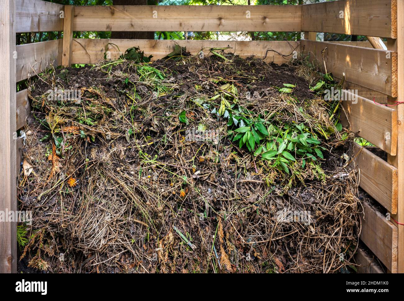 compost, compost heap, waste, composts, compost heaps, wastes Stock