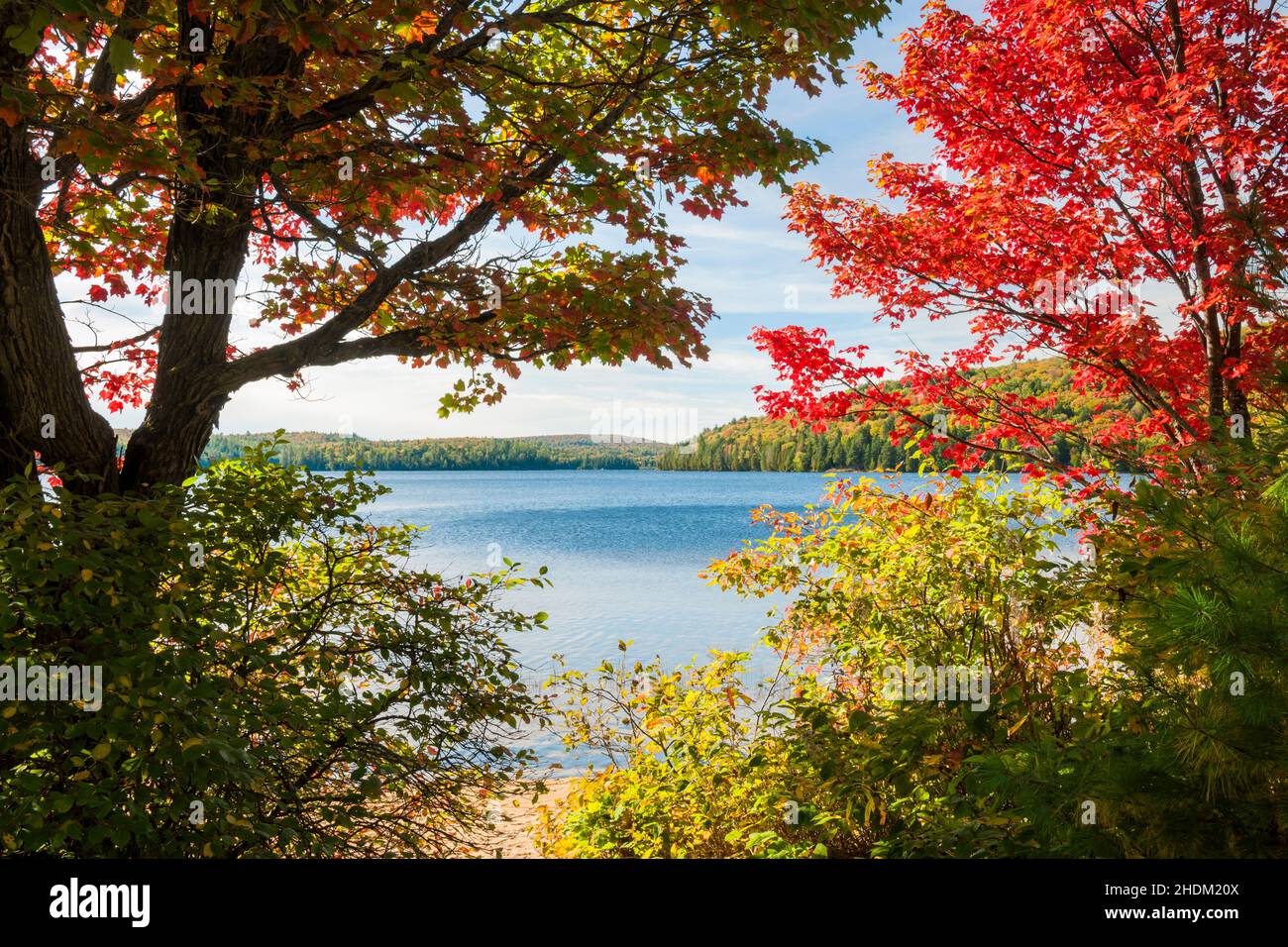 lake, ontario, algonquin provincial park, lakes, ontarios Stock Photo