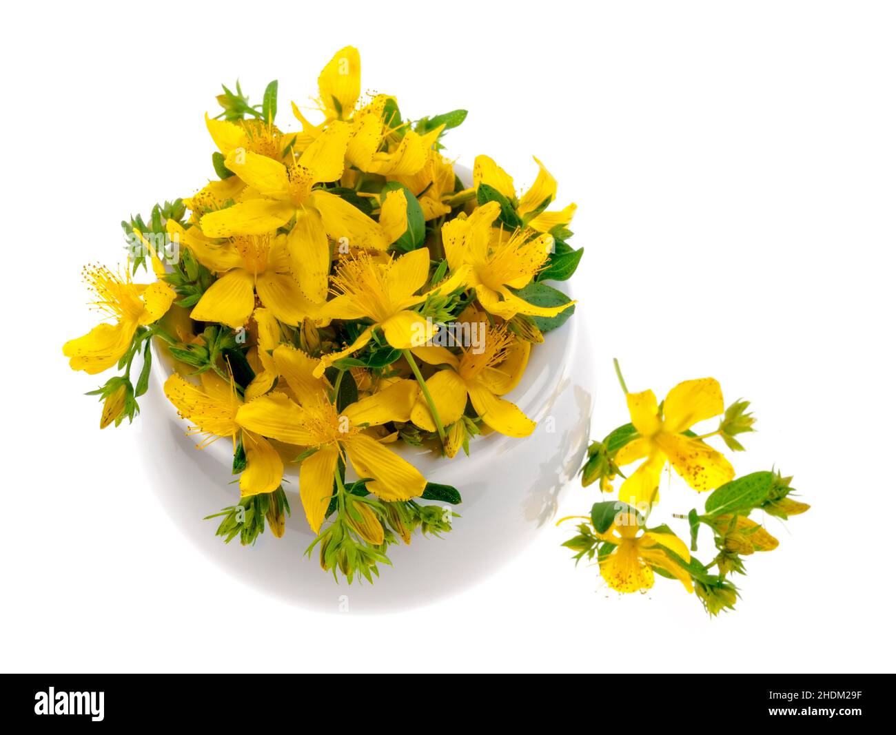 st john's wort, st. john's worts Stock Photo Alamy