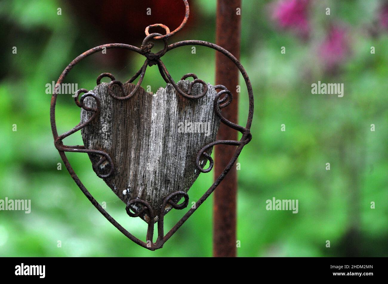 wooden heart, wooden hearts Stock Photo Alamy