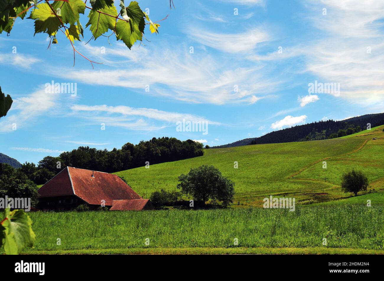 black forest, farmhouse, breisgau, oberried, black forests, wood, farmhouses, breisgaus, oberrieds Stock Photo
