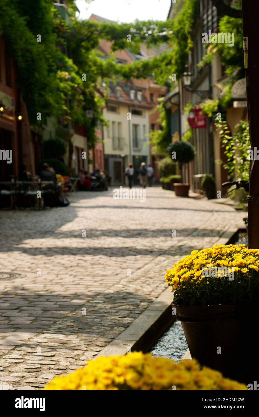 old town, flower arrangement, freiburg im breisgau, old towns, flower