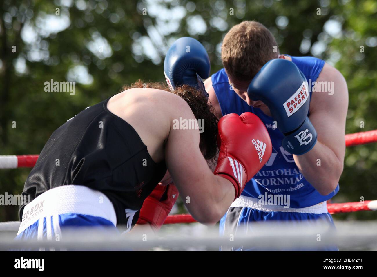 martial arts, boxing, boxer, combative sports, fighting, boxers Stock