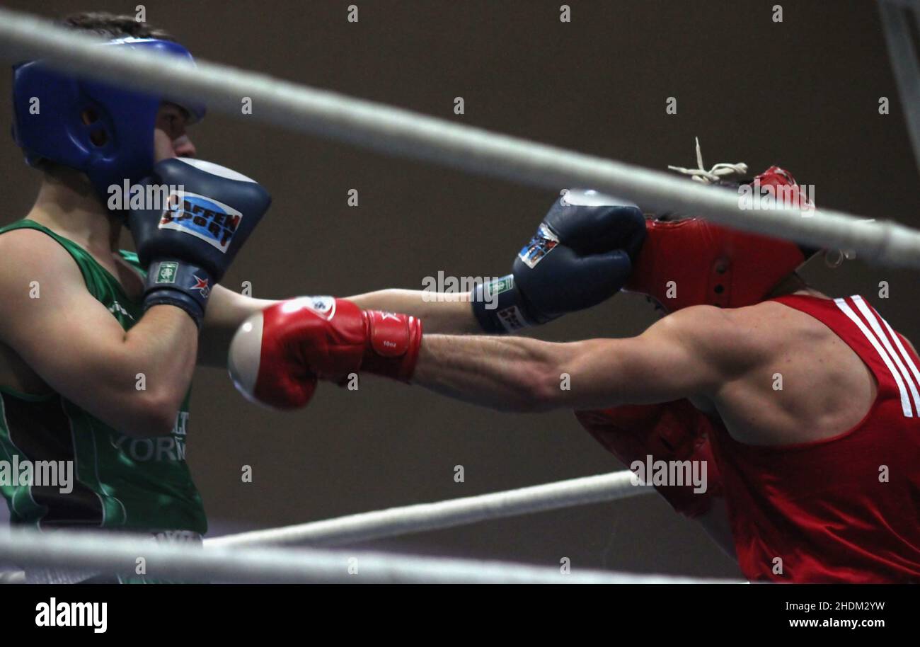 martial arts, boxing, boxer, combative sports, fighting, boxers Stock