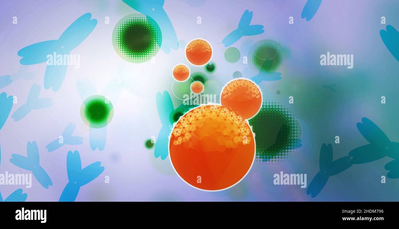 virus, antibody, bacterium, antibodies, bacteriums Stock Photo