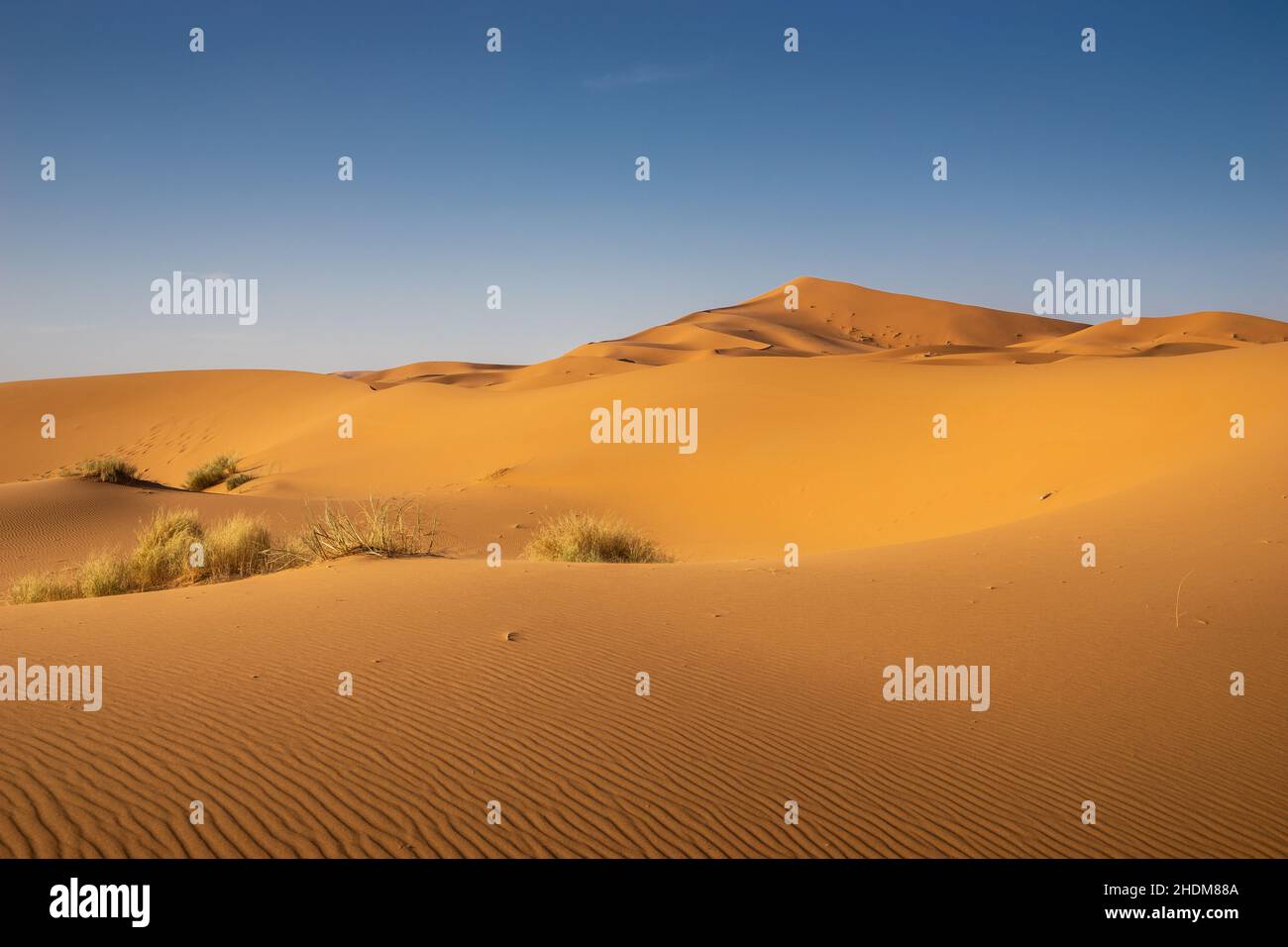 desert, sahara, morocco, deserts, wüste, saharas, moroccan Stock Photo ...