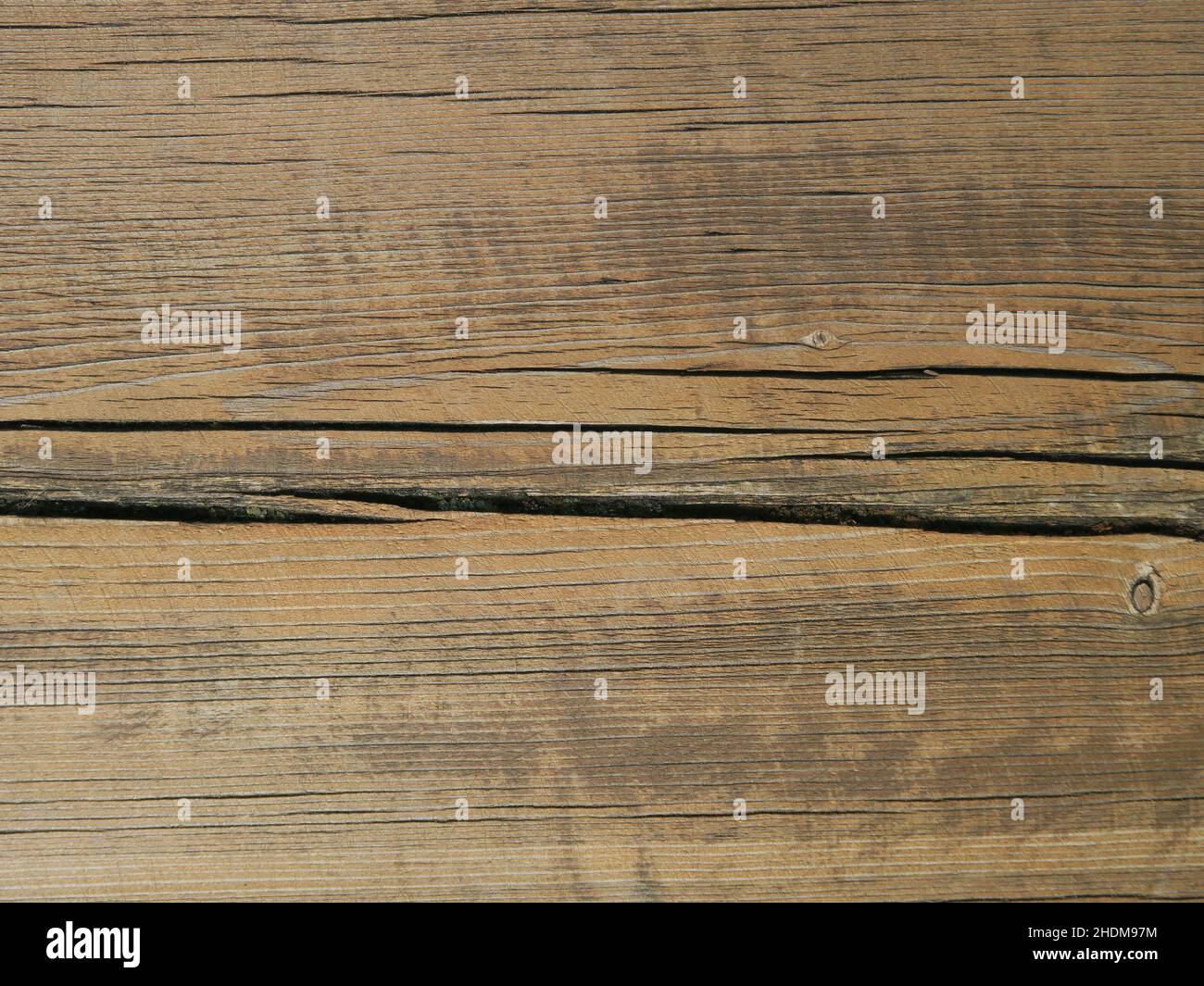 texture, wood grain, textures, wood grains Stock Photo Alamy