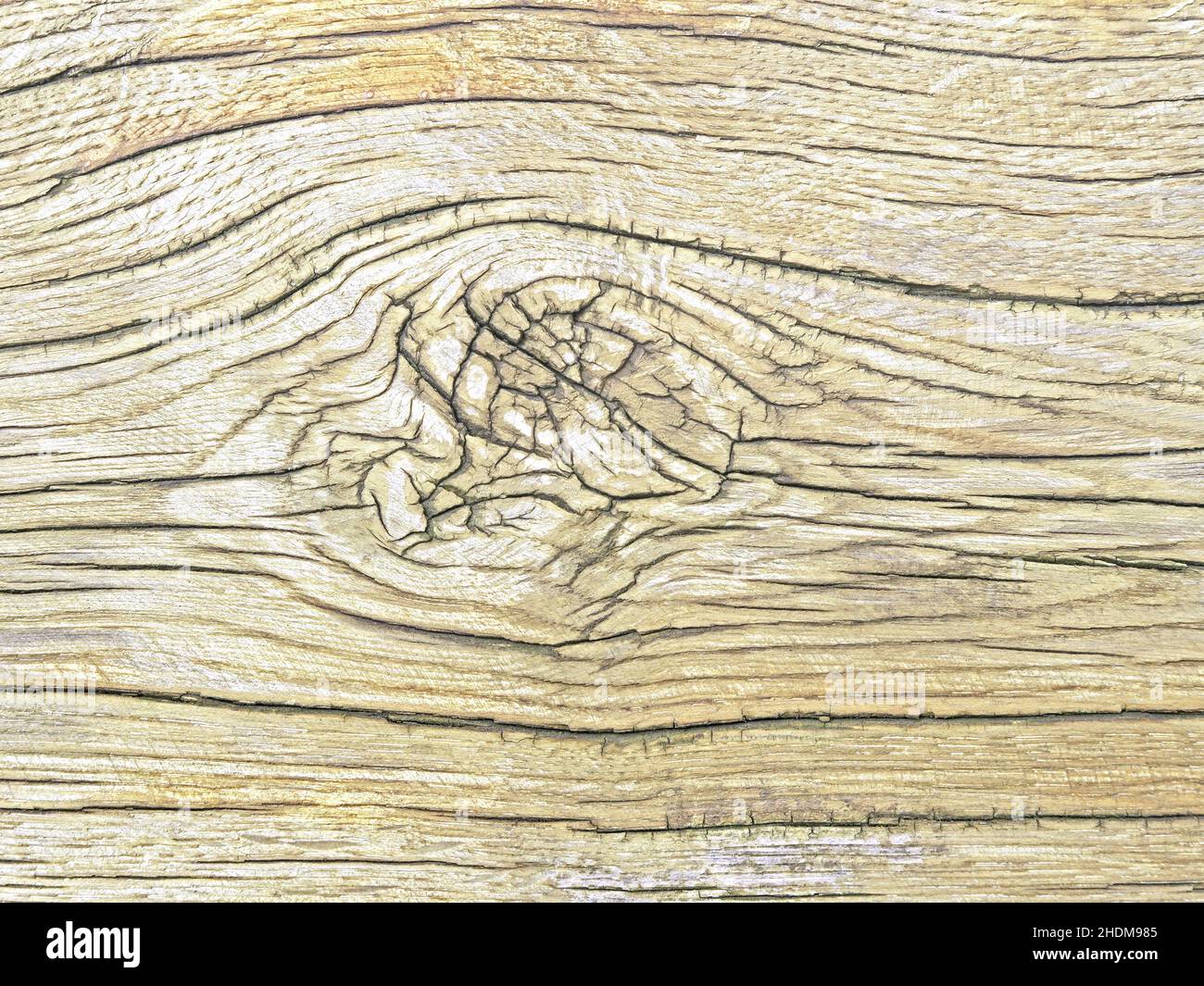 wood grain, knotted wood, wood grains, knotted woods Stock Photo Alamy