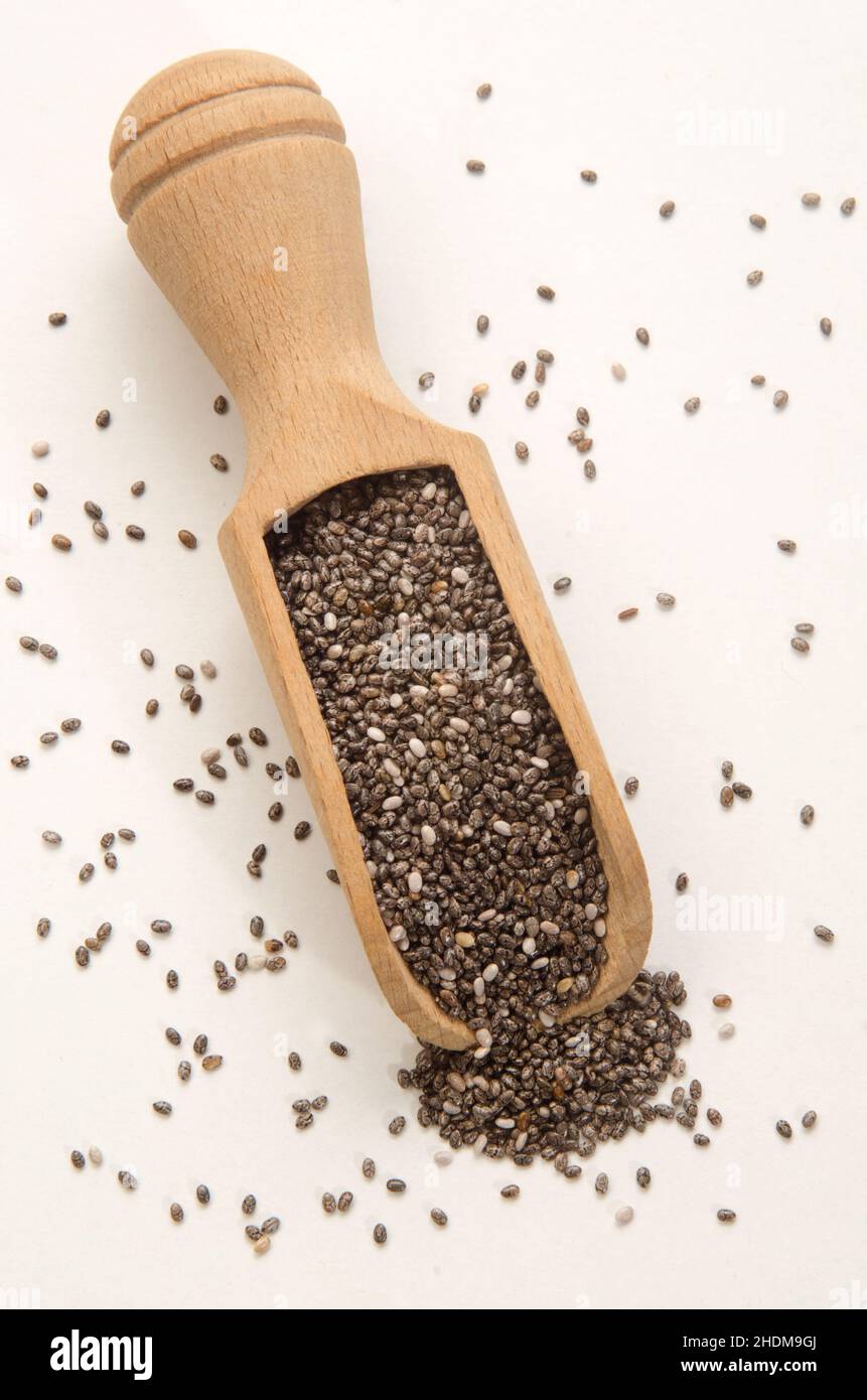 salvia hispanica, chia Stock Photo Alamy