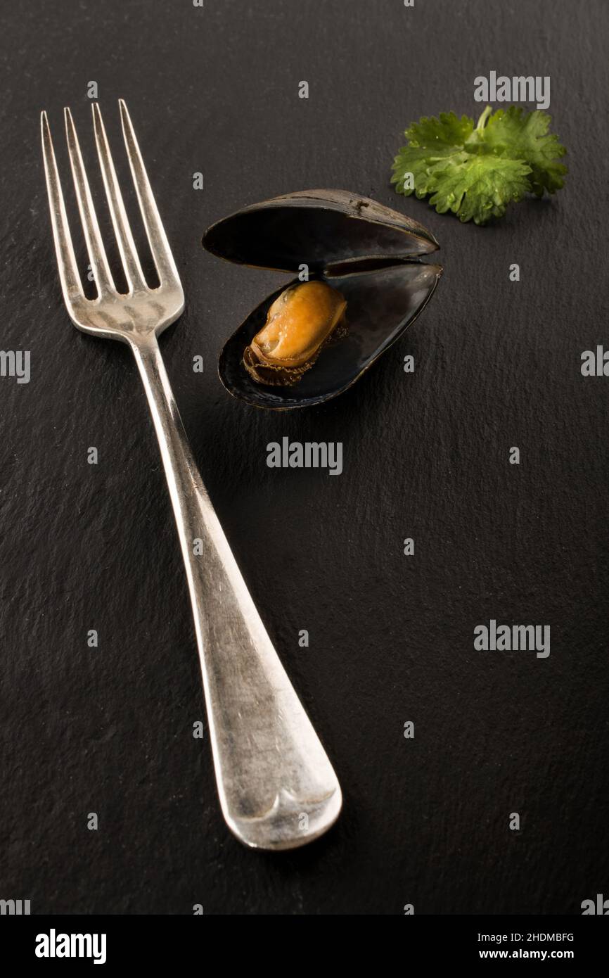 mussel, appetizer, steamed, mussels, appetizers, steameds Stock Photo
