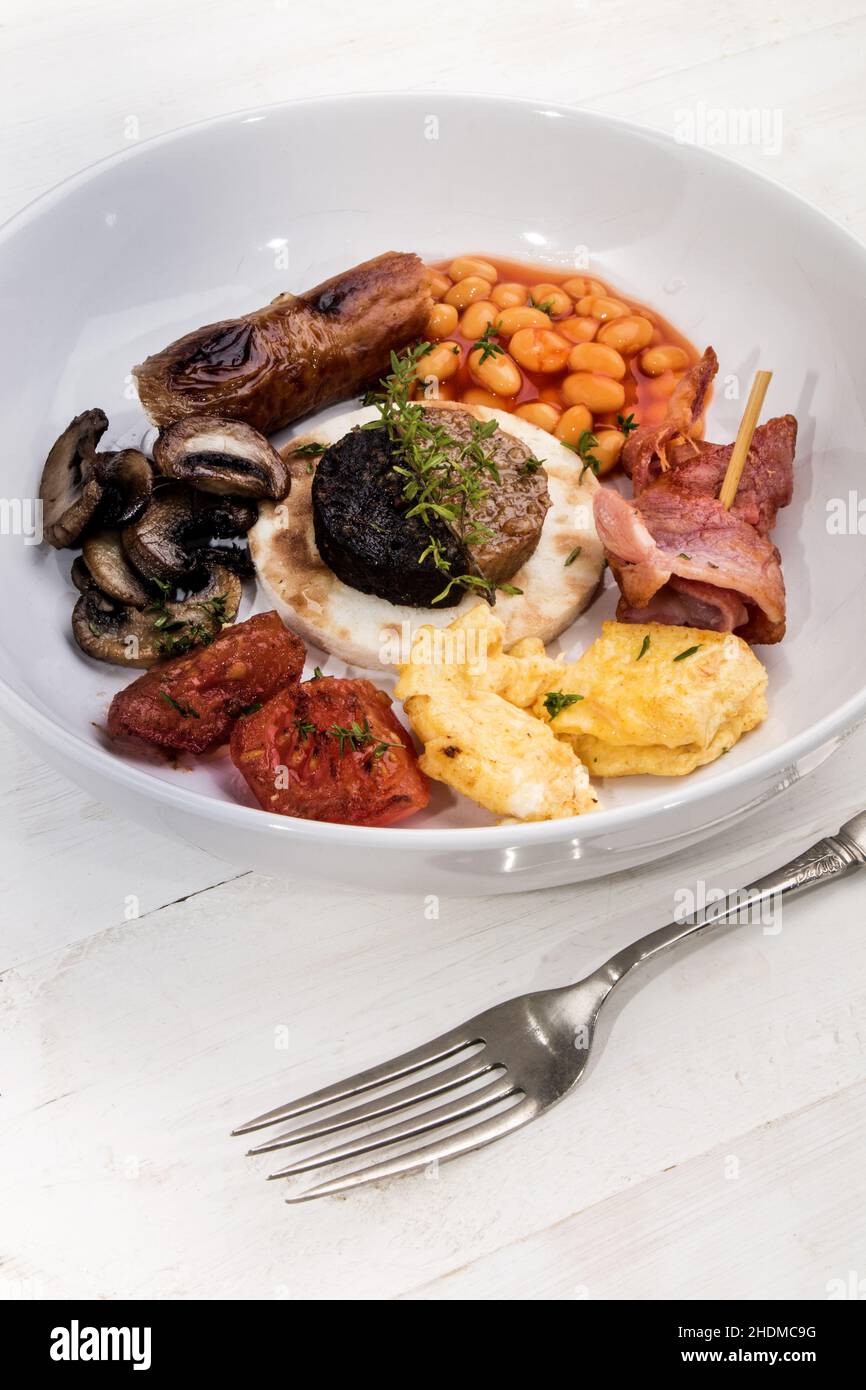 greasy, hearty, english breakfast, greasies, hearties, savory, savoury