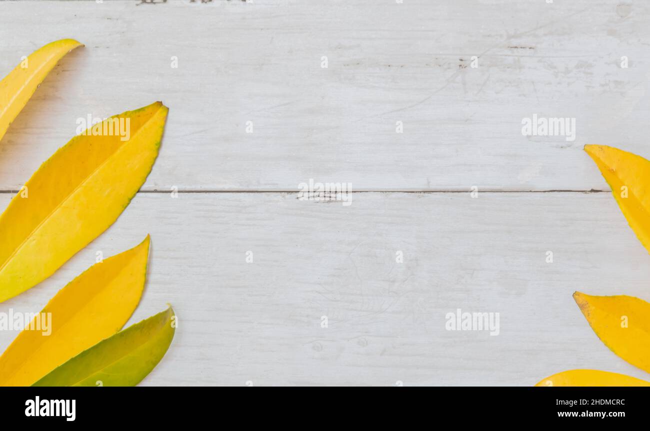Autumn leaves on wooden white background with copy space for text Stock ...