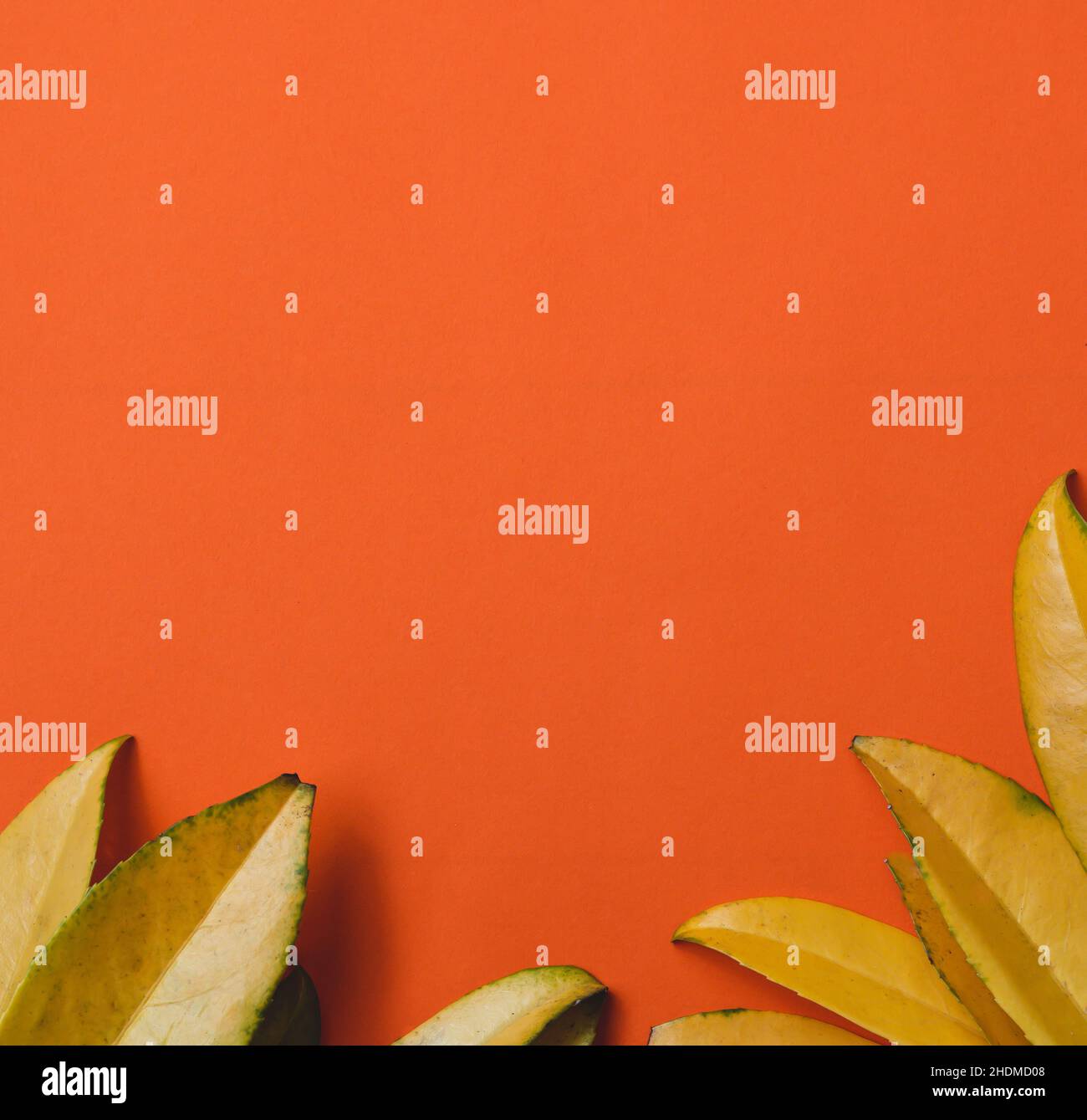 Autumn leaves on wooden white background with copy space for text Stock ...
