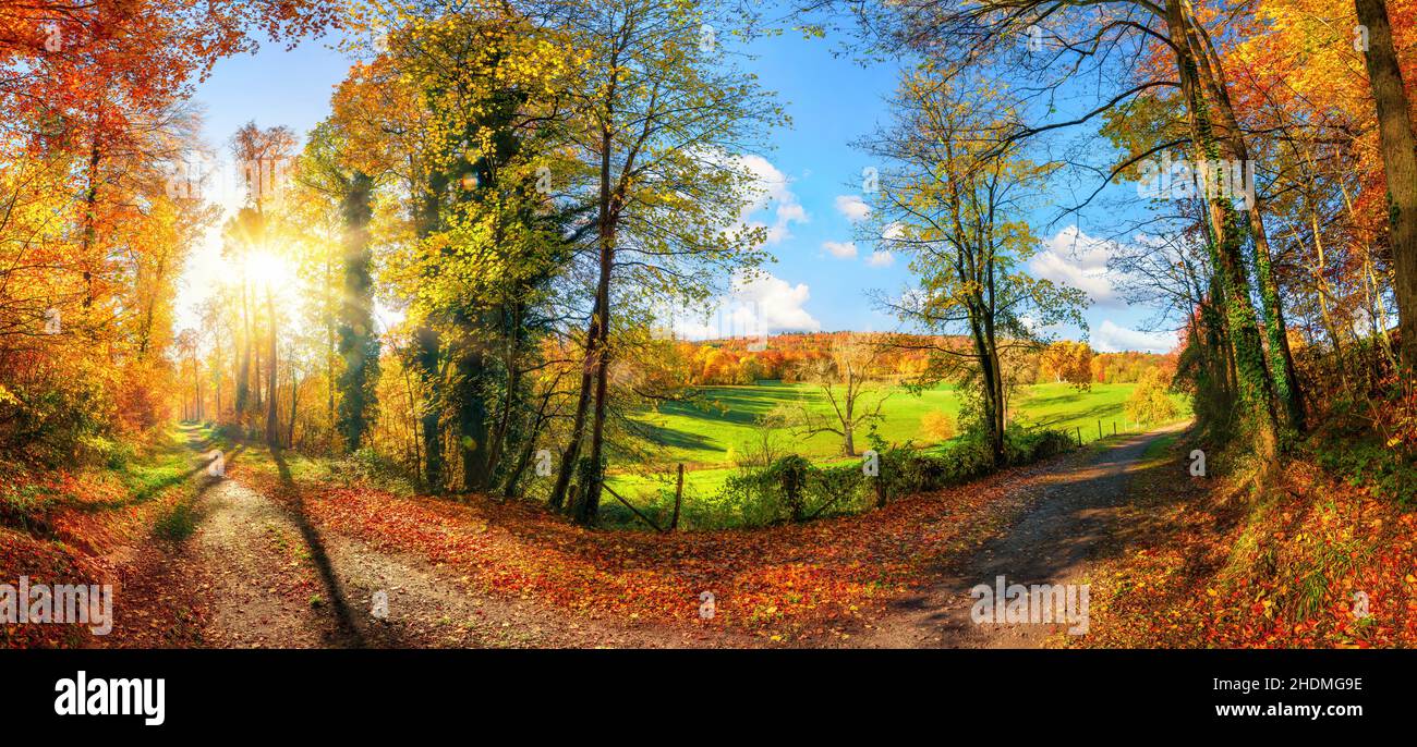 Leaf fall on footpath hi-res stock photography and images - Alamy