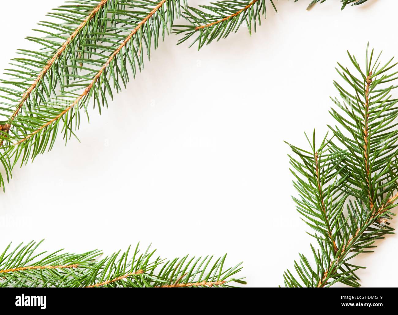 Christmas frame border of pine cones on a white background with copy ...