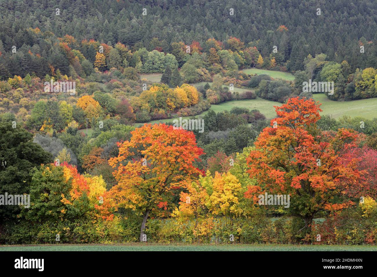 autumn landscape, autumn colors, autumn landscapes, fall, landscape, landscapes Stock Photo