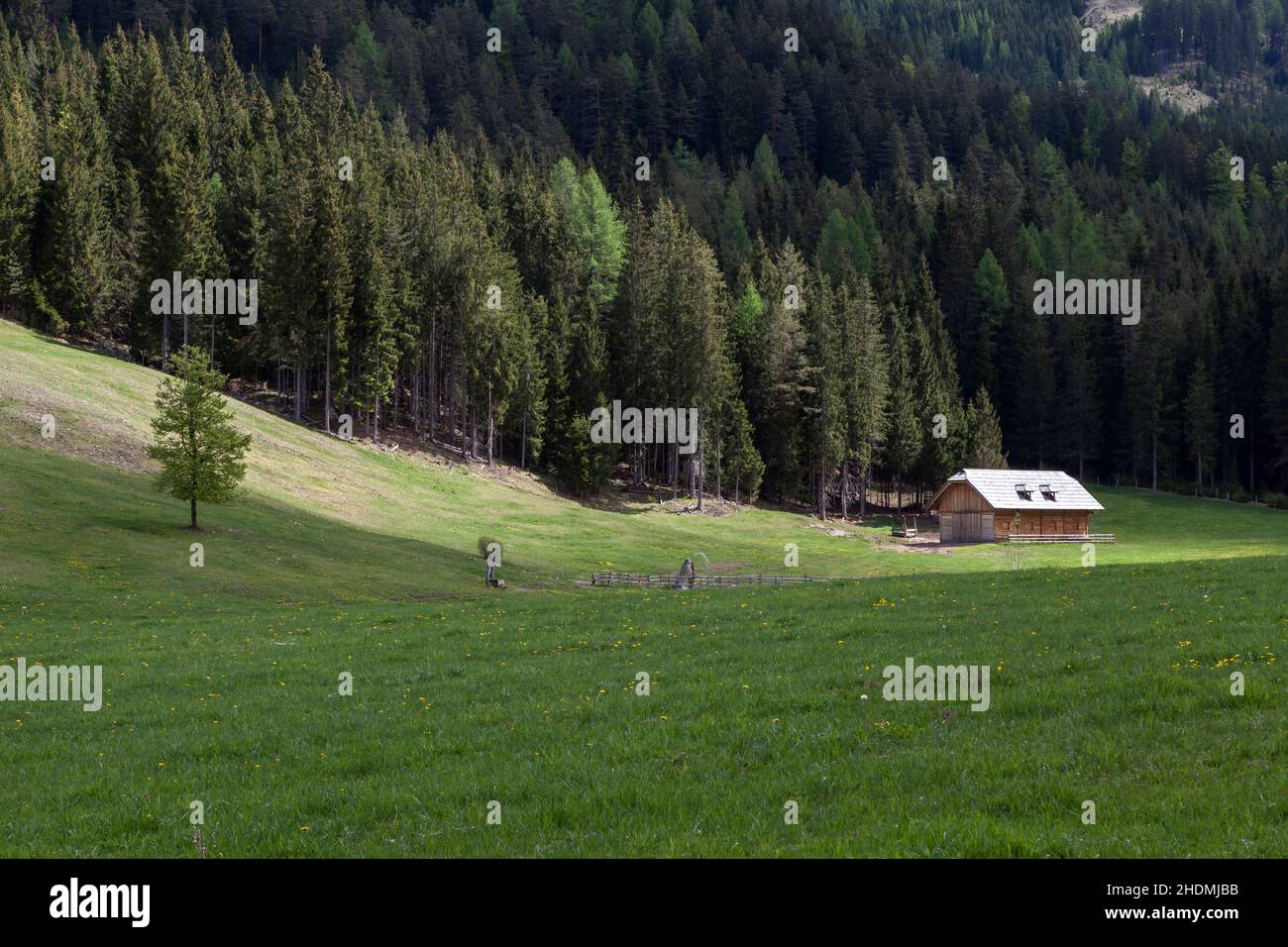 forest, wooden house, alp, carinthia, forests, wood, woodland, woods, wooden houses, alps, carinthias Stock Photo