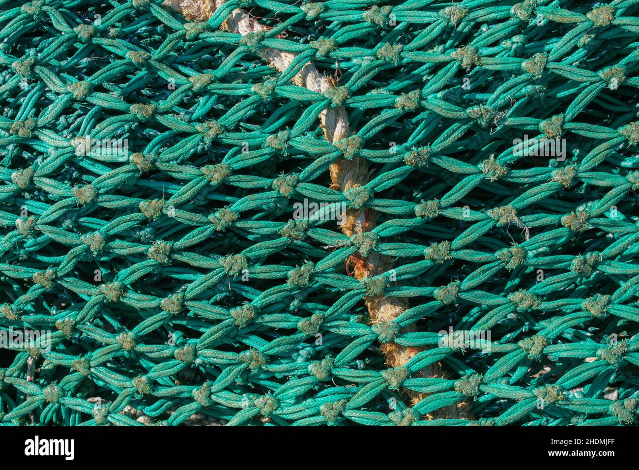 fishing net, mesh, woven, fishing nets, grid, grids, meshs, wovens