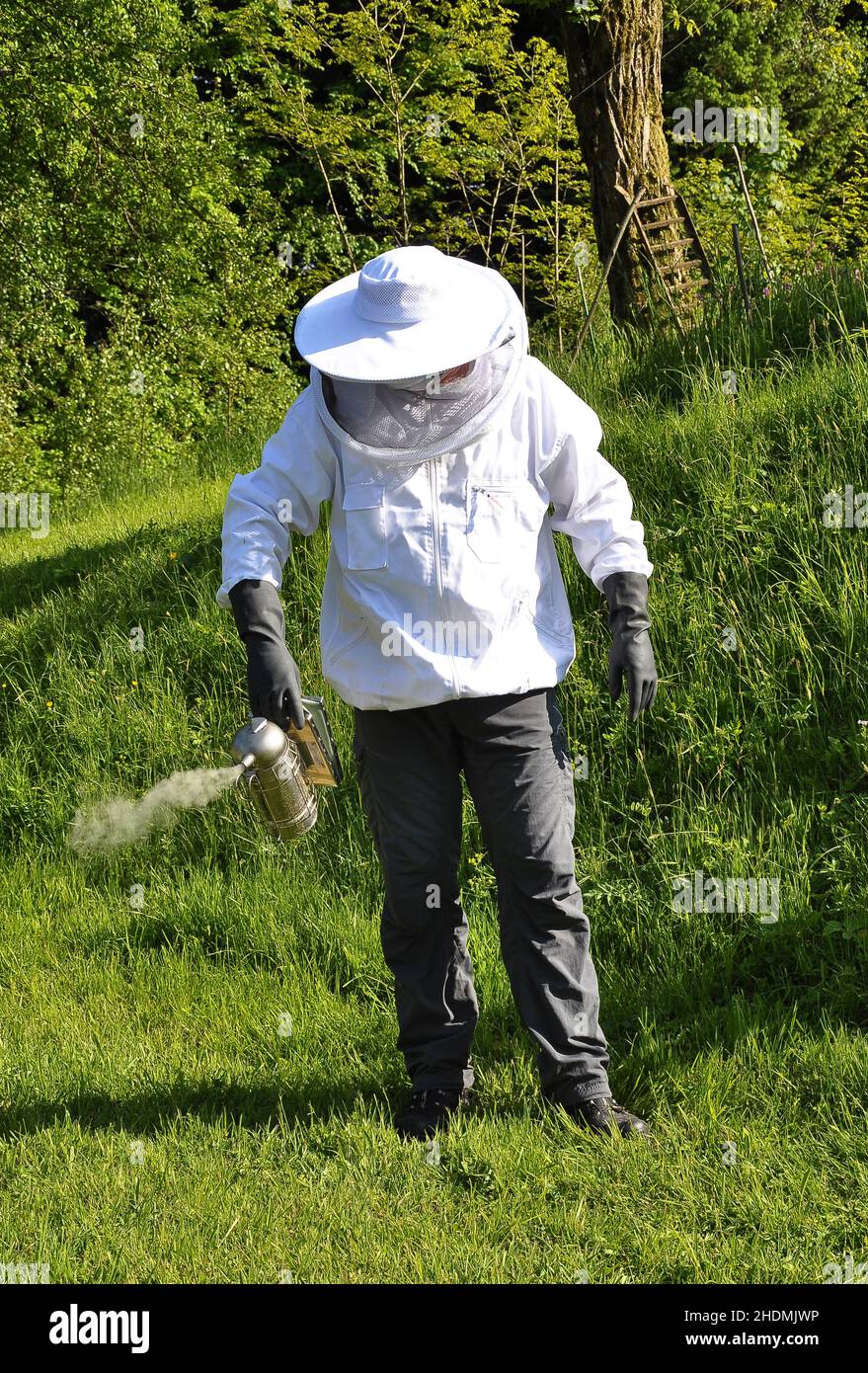 beekeeper, beekeeping, smoke, beekeepers, apiculture, smokes Stock Photo