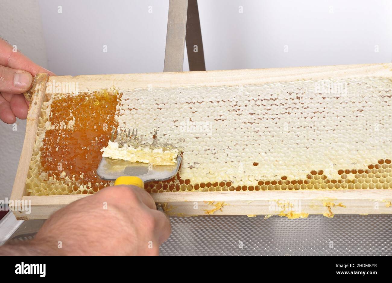 honeycomb, uncapping knive, honey harvest, honeycombs Stock Photo