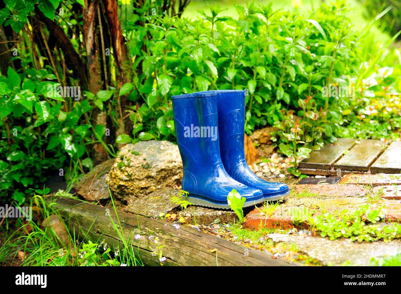galoshes, wellies, wellington boots, welly Stock Photo