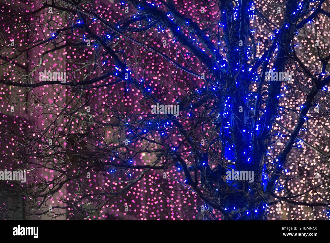London, UK, 6 January 2021: Fairy lights in trees and on buildings on Oxford Street on Epiphany, the traditional end of the Christmas season in the Western church. Anna Watson/Alamy Live News Stock Photo