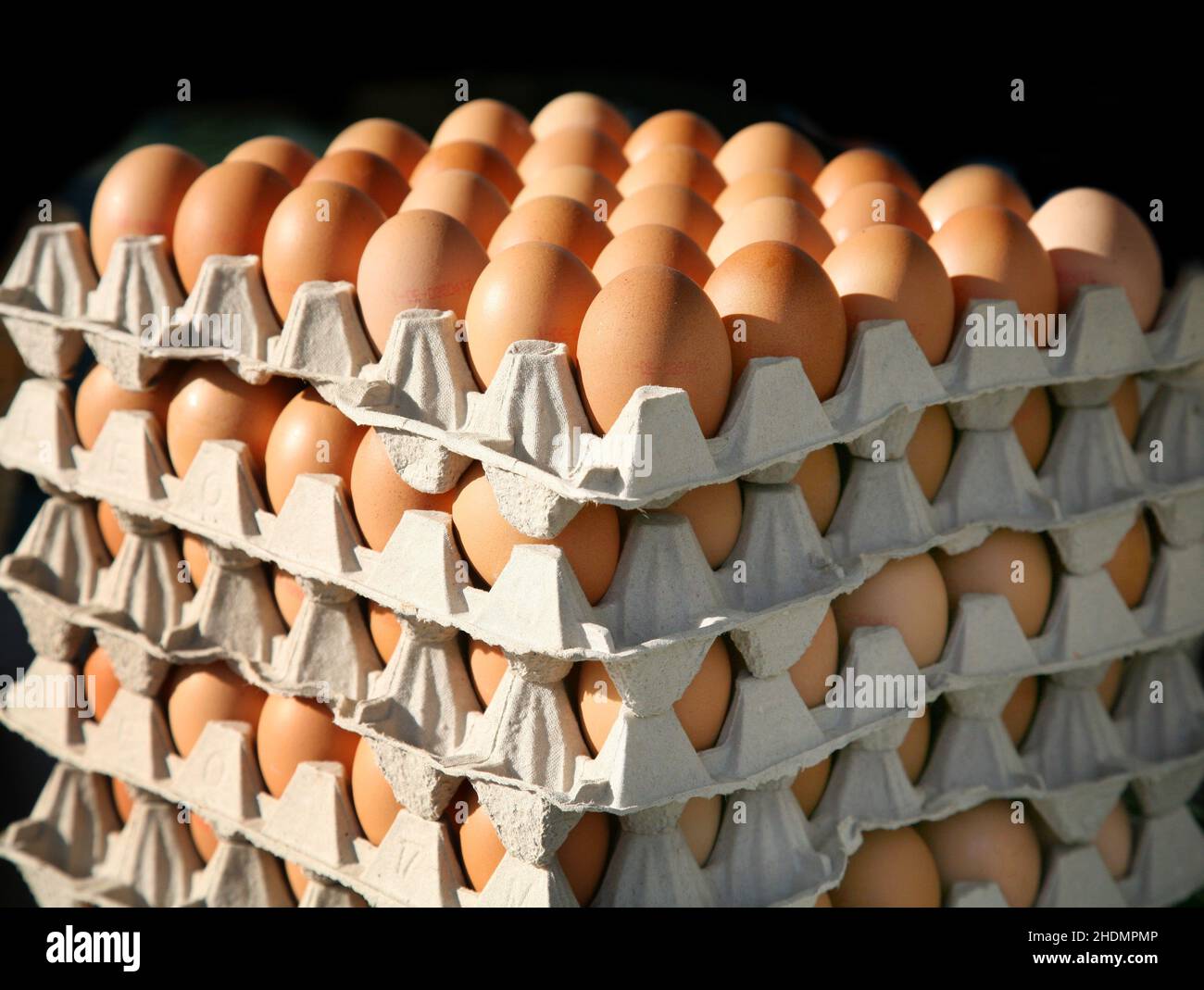 chicken egg, egg carton, chicken eggs, egg cartons Stock Photo Alamy