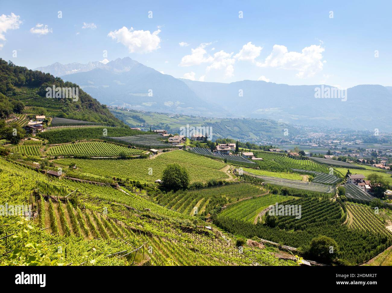 south-tyrol-wine-region-south-tyrols-wine-regions-stock-photo-alamy