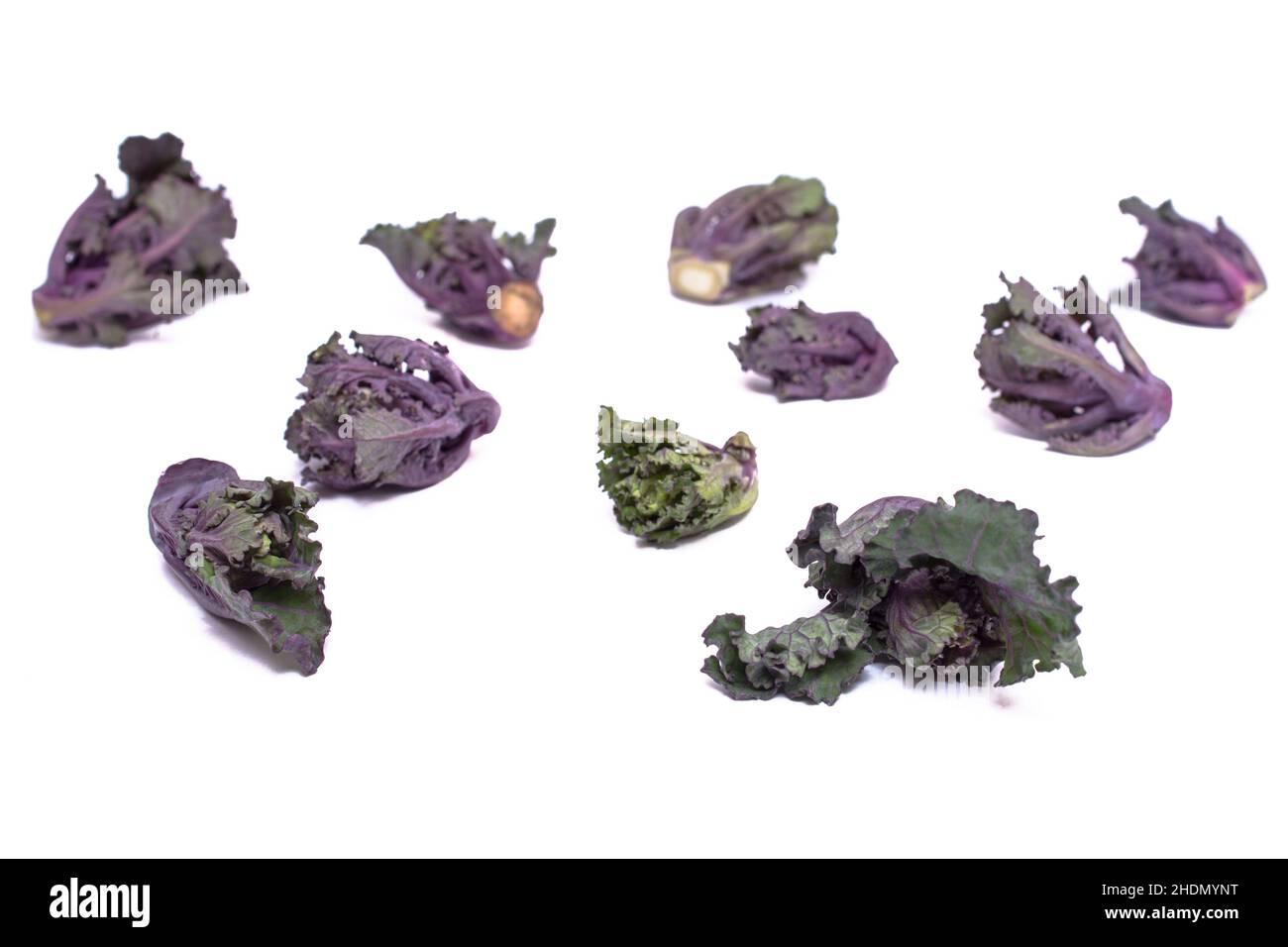 purple, cabbage, lila, violett, cabbages Stock Photo