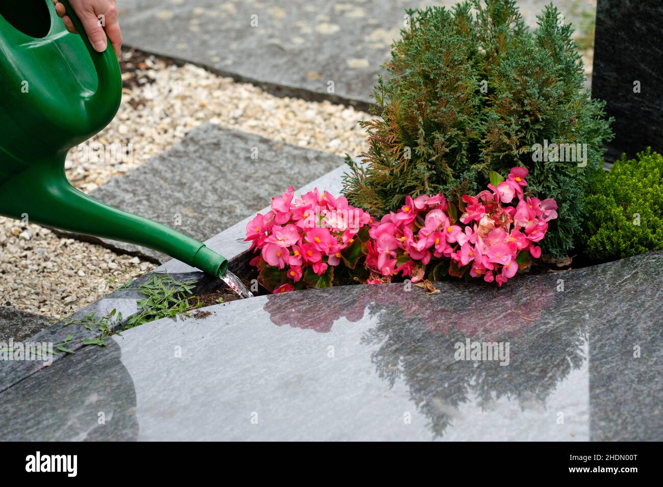 watering, grave, graves Stock Photo