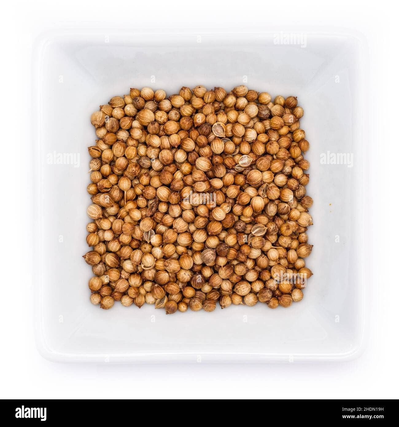 cilantro, coriander seed, cilantros, coriander seeds Stock Photo Alamy