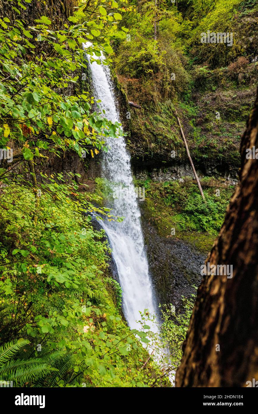 Middle North Falls; Silver Falls State Park; Oregon; USA Stock Photo