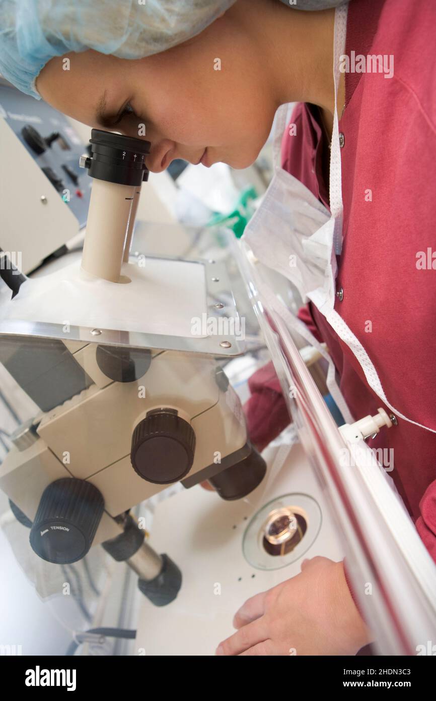 research, examining, microscope, lab assistant, researchs, exam, examination, microscopes, lab