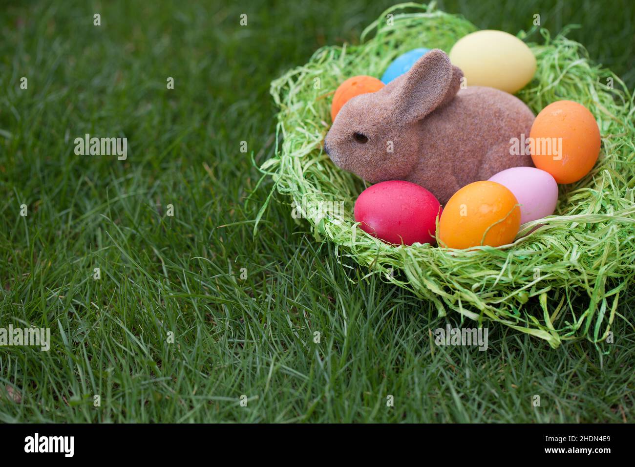 easter, easter egg, easter nest, easter bunny, easters, easter eggs, easter bunnies Stock Photo