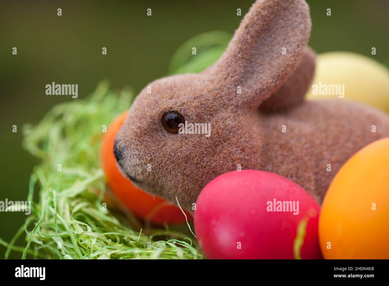 easter, easter bunny, easter eggs, easters, easter bunnies, easter egg Stock Photo