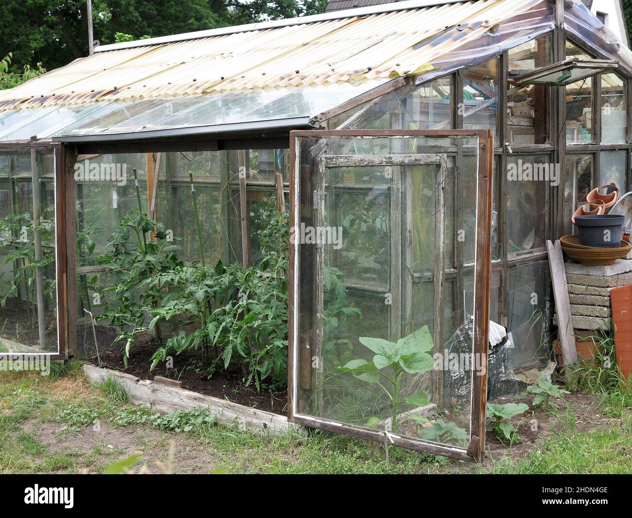Warm greenhouse plant hi-res stock photography and images - Alamy