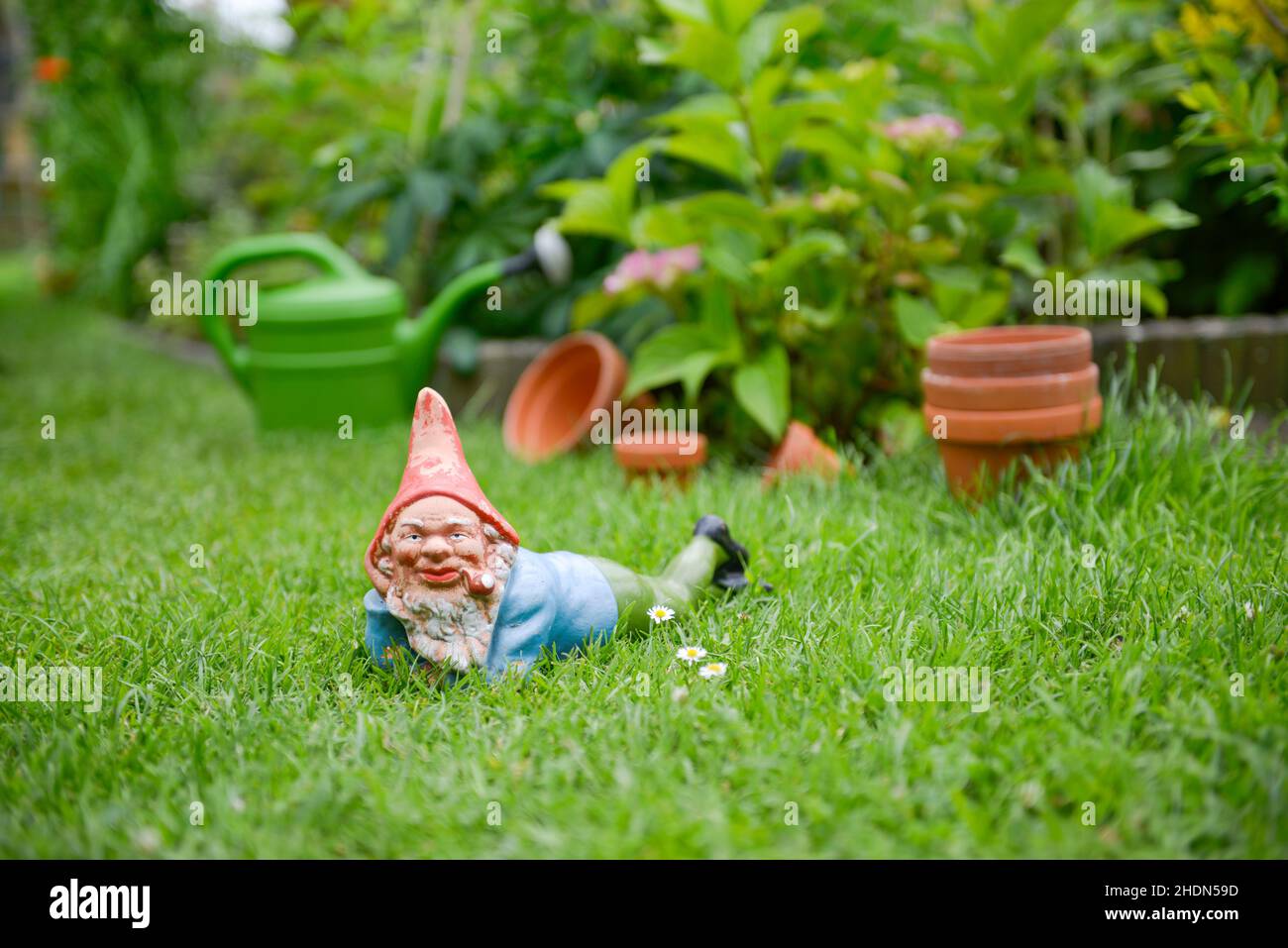 garden, garden gnome, gardens, garden gnomes Stock Photo Alamy