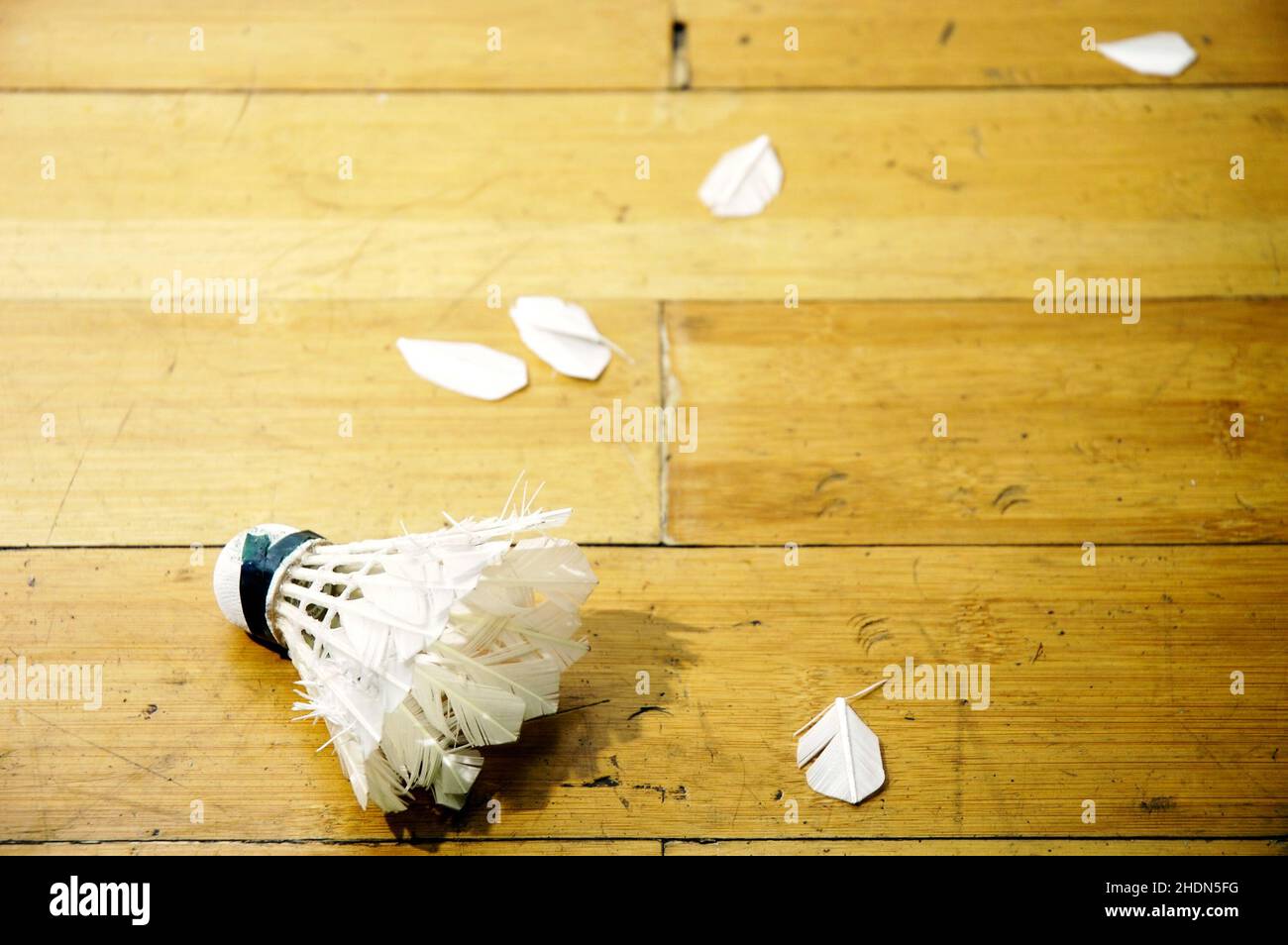 shuttlecock, shuttlecocks Stock Photo