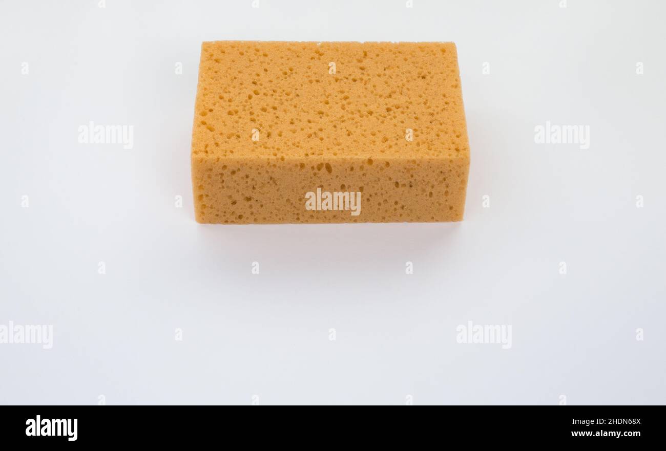 texture, sponge, textures, sponges Stock Photo Alamy