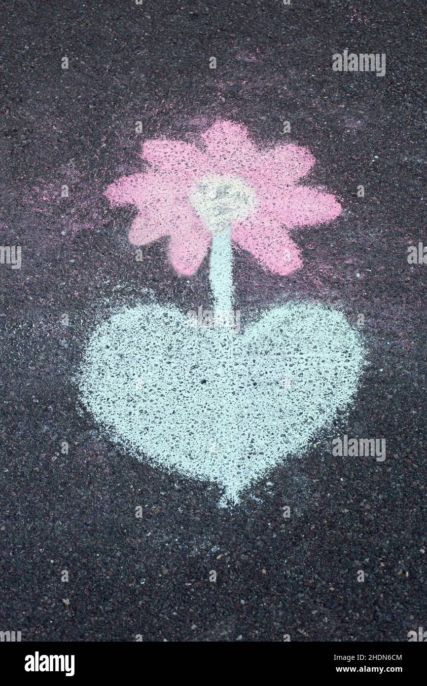 flower, chalk drawing, flowers Stock Photo Alamy
