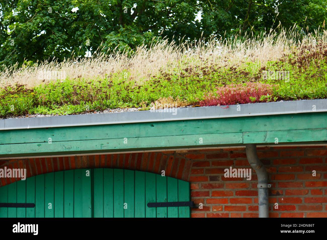 roof, green roofs, greening, roofs, green roof Stock Photo