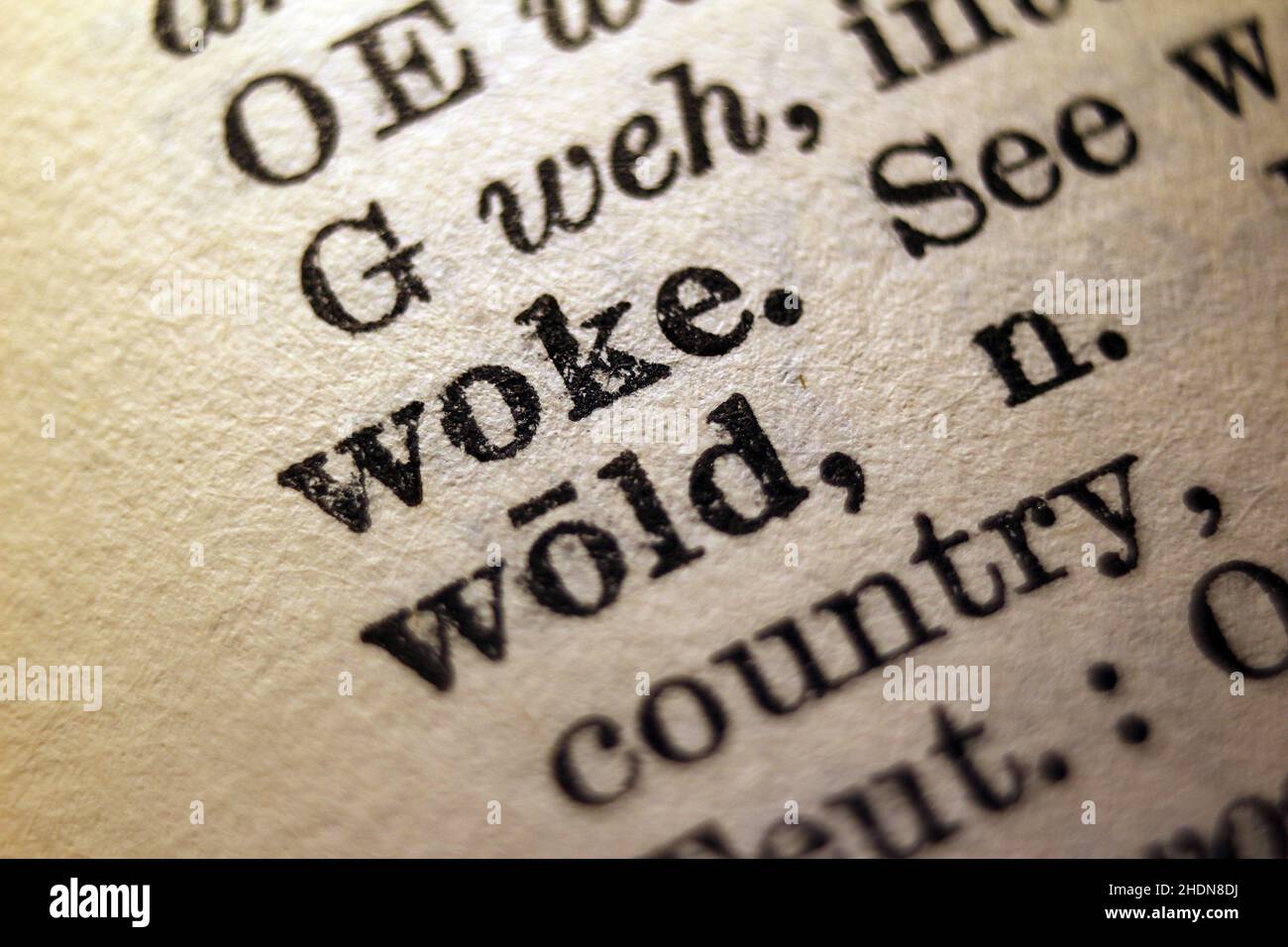 Word 'woke' printed on book page, macro close-up Stock Photo