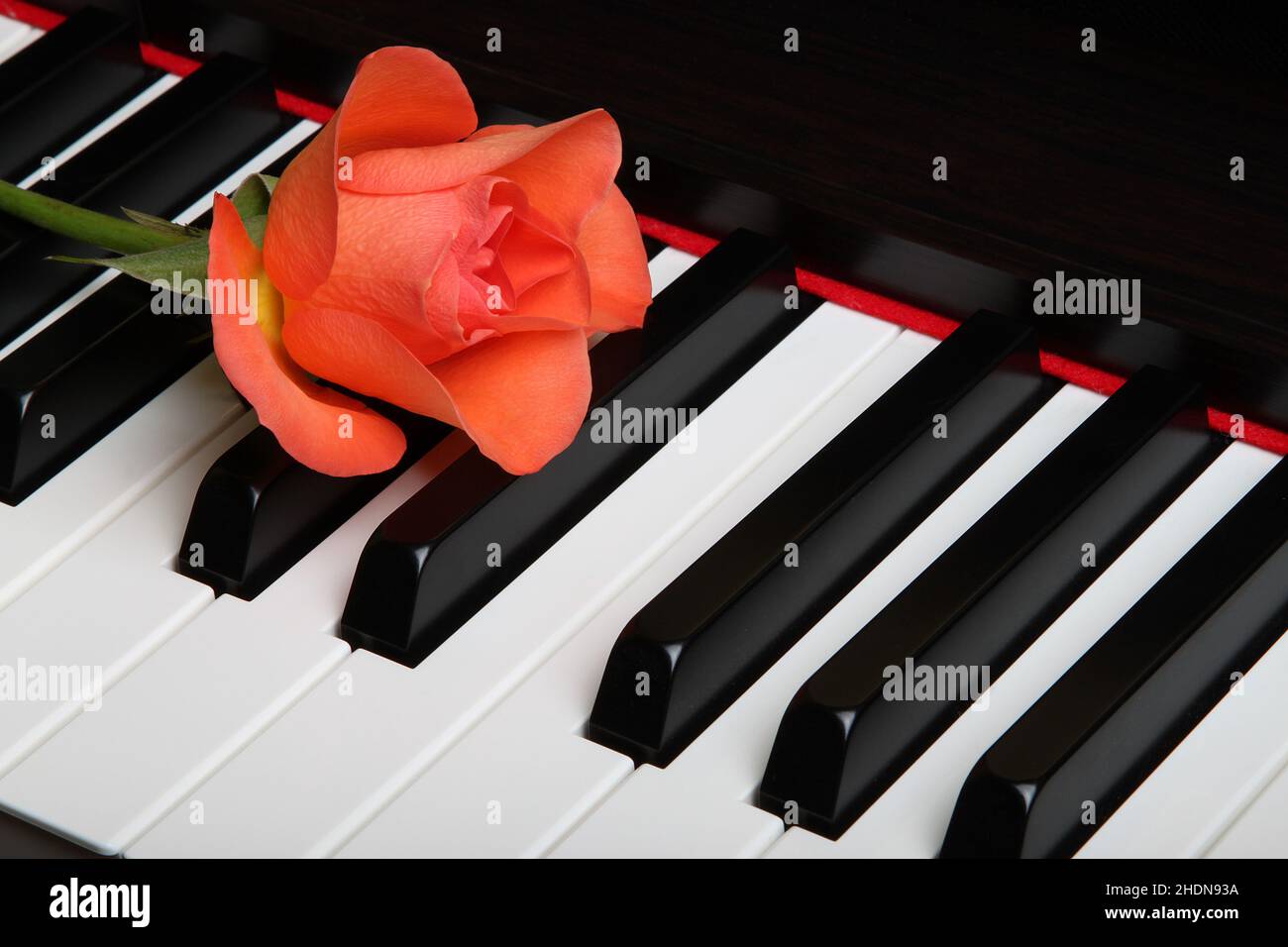 Rose piano hi-res stock photography and images - Alamy