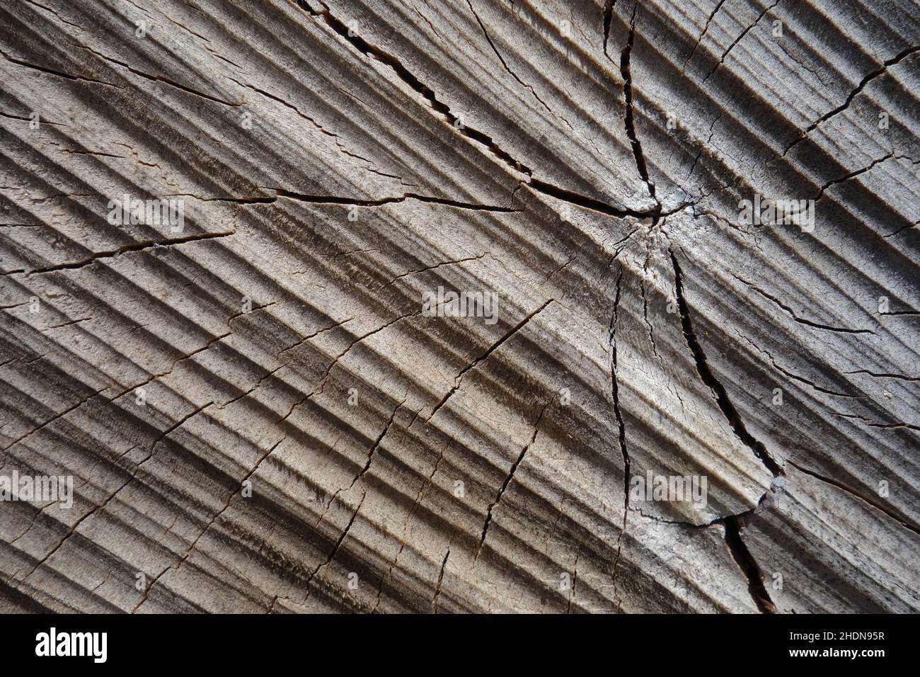 wood, cracked, brittle, woodland, woodlands, woods, crackeds, brittles